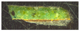 General image of the micro-sample by optical microscopy