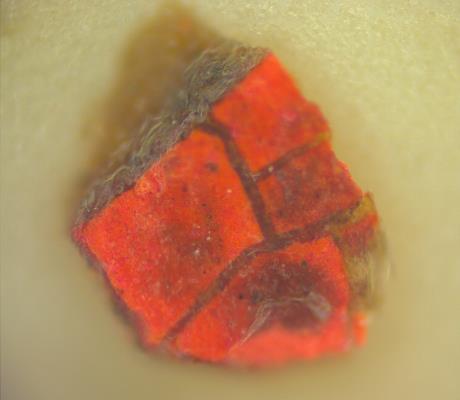 Imagen por microscopia óptica: cara plana de la muestra a 200x de la dalmática: bermellón. Imagen de Antoni Morer i Munt
