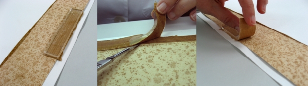 Removal of the gummed paper from the back, with rigid aqueous gel, PhytagelTM.