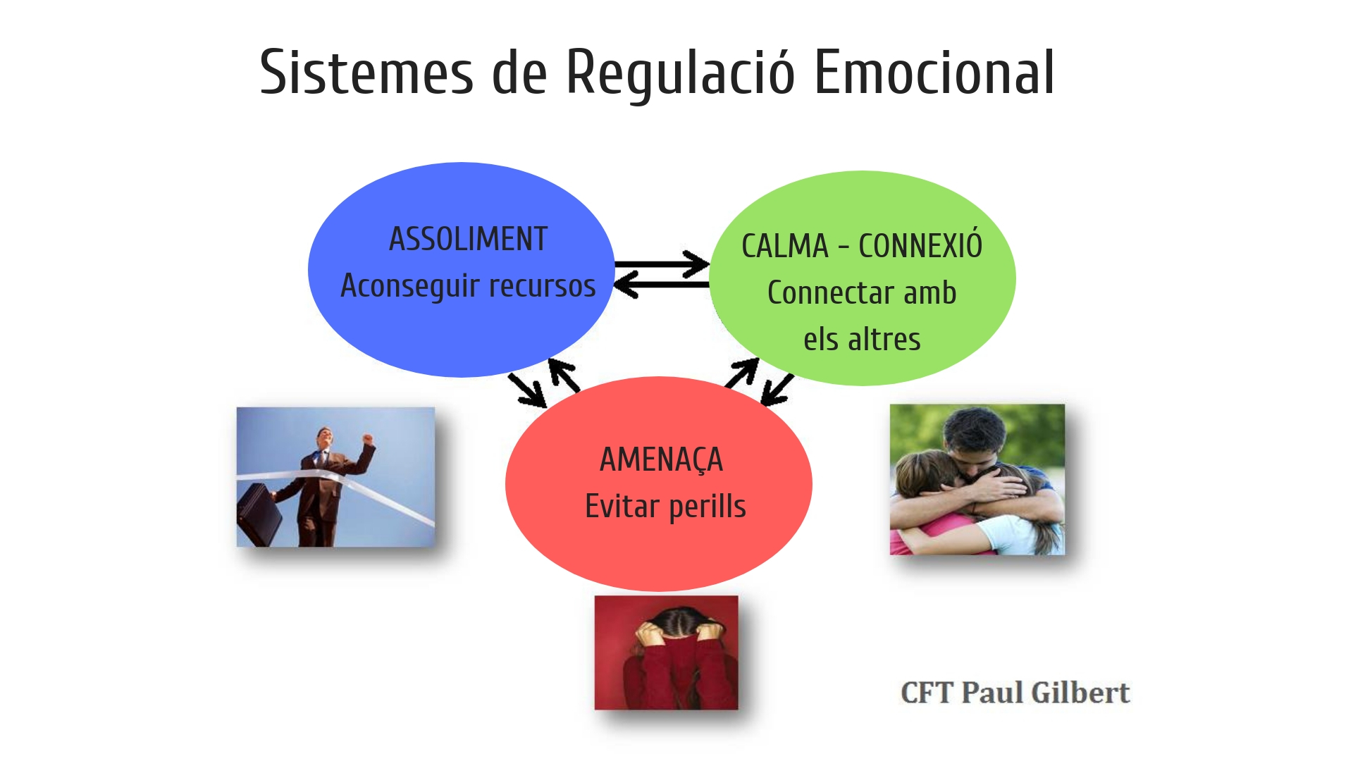 Sistemes de regulació emocional