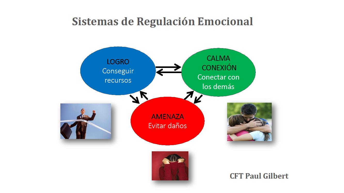 Sistemes de regulació emocional